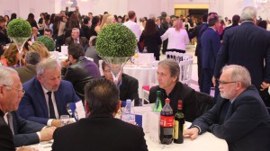 17492800 1834103090172756 8946327161756161326 o